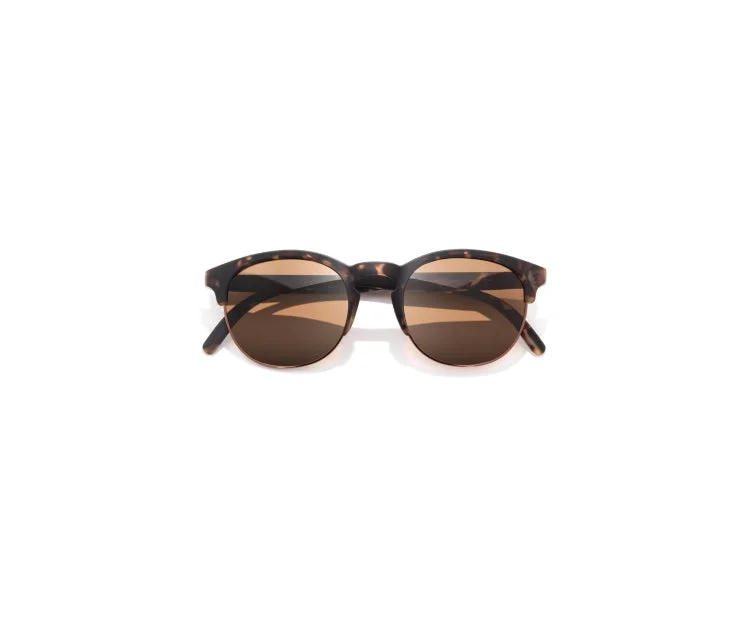 Avila Polarized Sunglasses Tortoise Amber Transparent Frame Trend