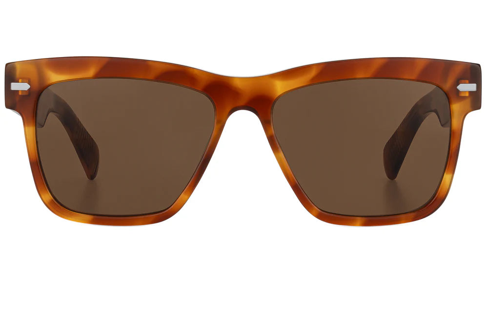 Cut Eighty Eight (Havana Tortoise Shell + Brown) Fashionable Look