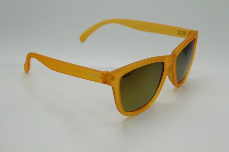 Tensaw Kings Canyon Polarized Sunglasses Translucent Frame Modern Aesthetic