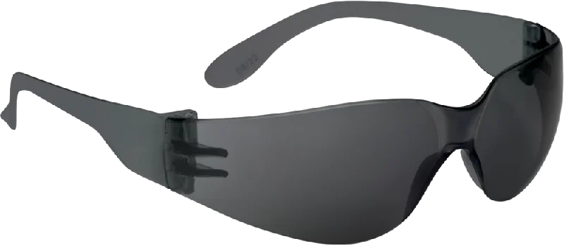 Delta Plus BRAVA CSA Safety Glasses WELBRA Wrap - Around Ski Goggles