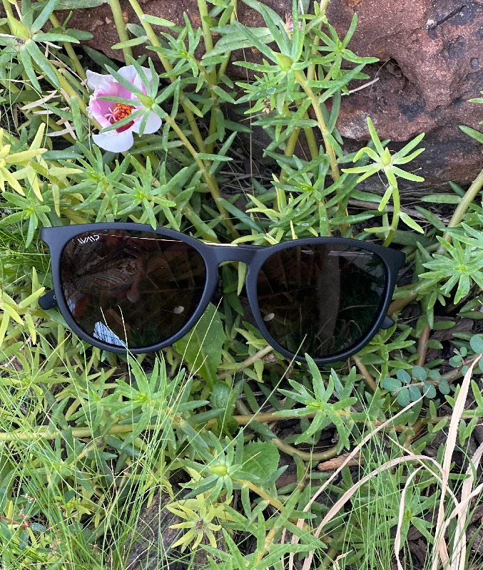 Drew Black with Gold Sunglasses Tinted - Lens Reading Glasses
