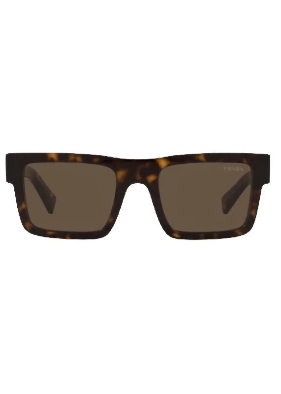 Men's Sunglasses In Brown Clip - On Sunglasses Convenience