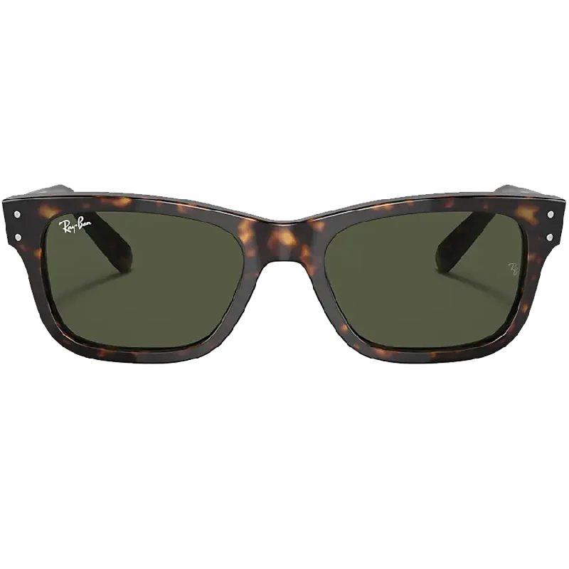 Mr. Burbank Polished Havana/Green Matte - Finish Plastic Frame Look