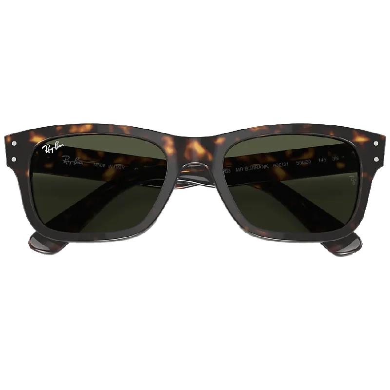 Mr. Burbank - Low Bridge Havana/Green Wrap - Around Ski Goggles